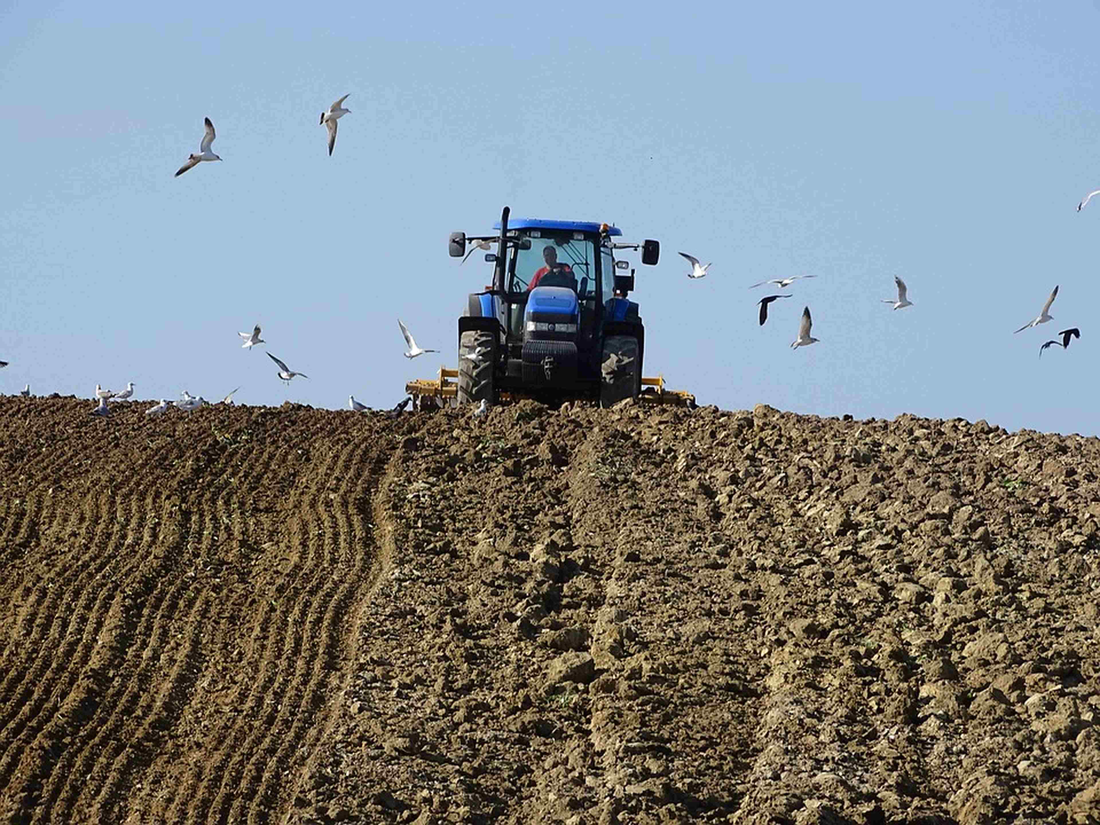 /assets/images/upload/agriculture-2143014_960_720.jpg