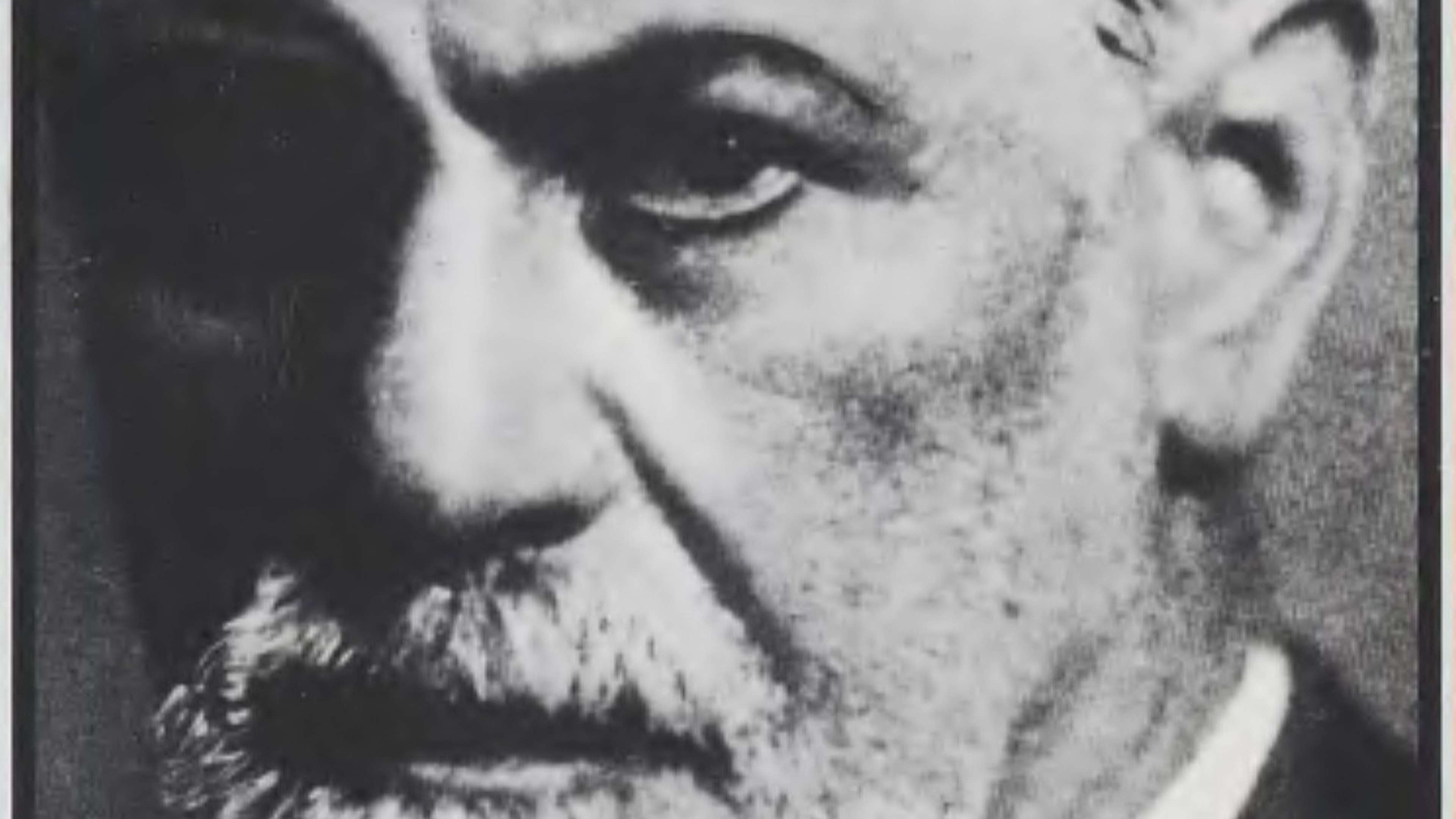 freud-onfray