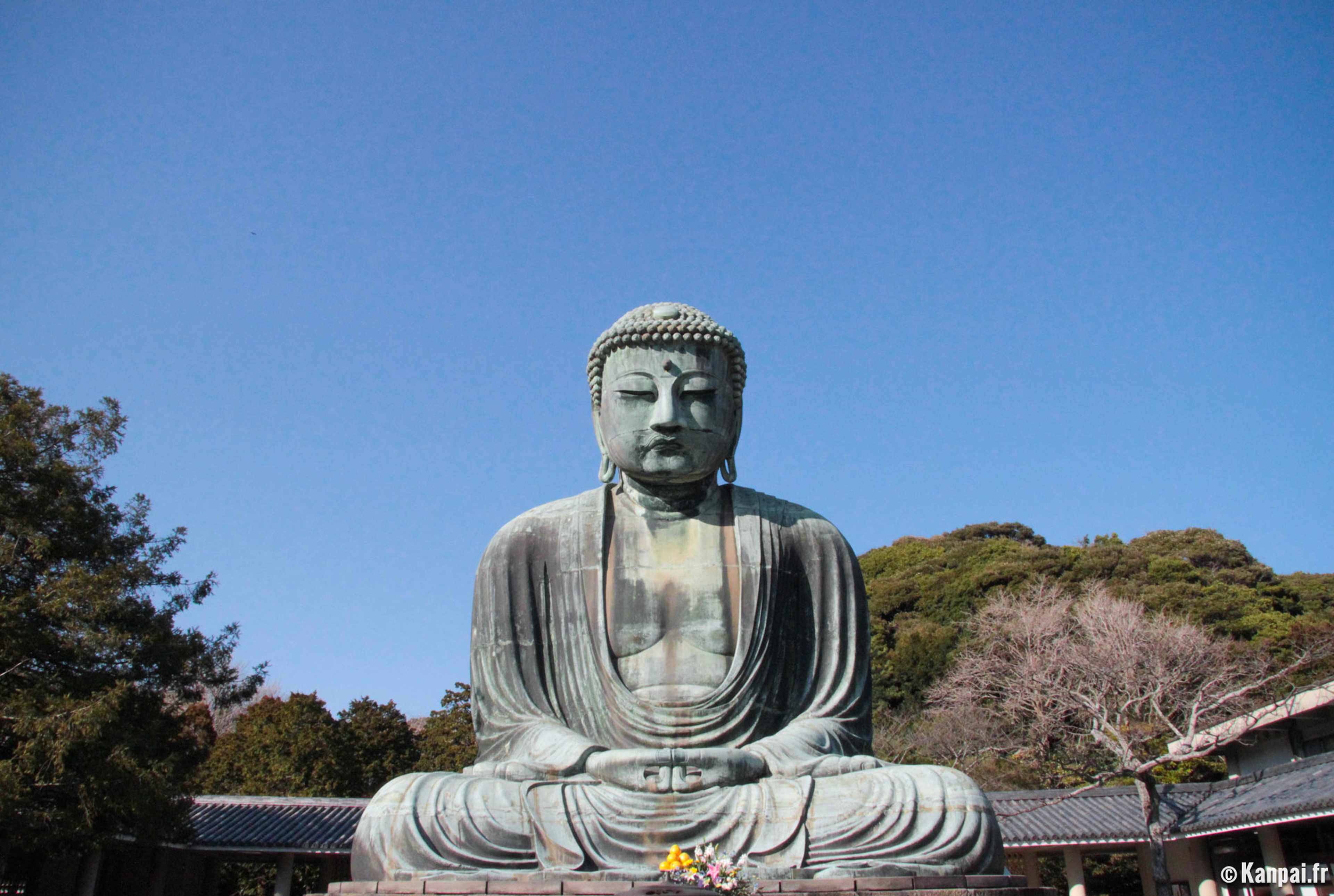 /assets/images/upload/Bouddha.jpg