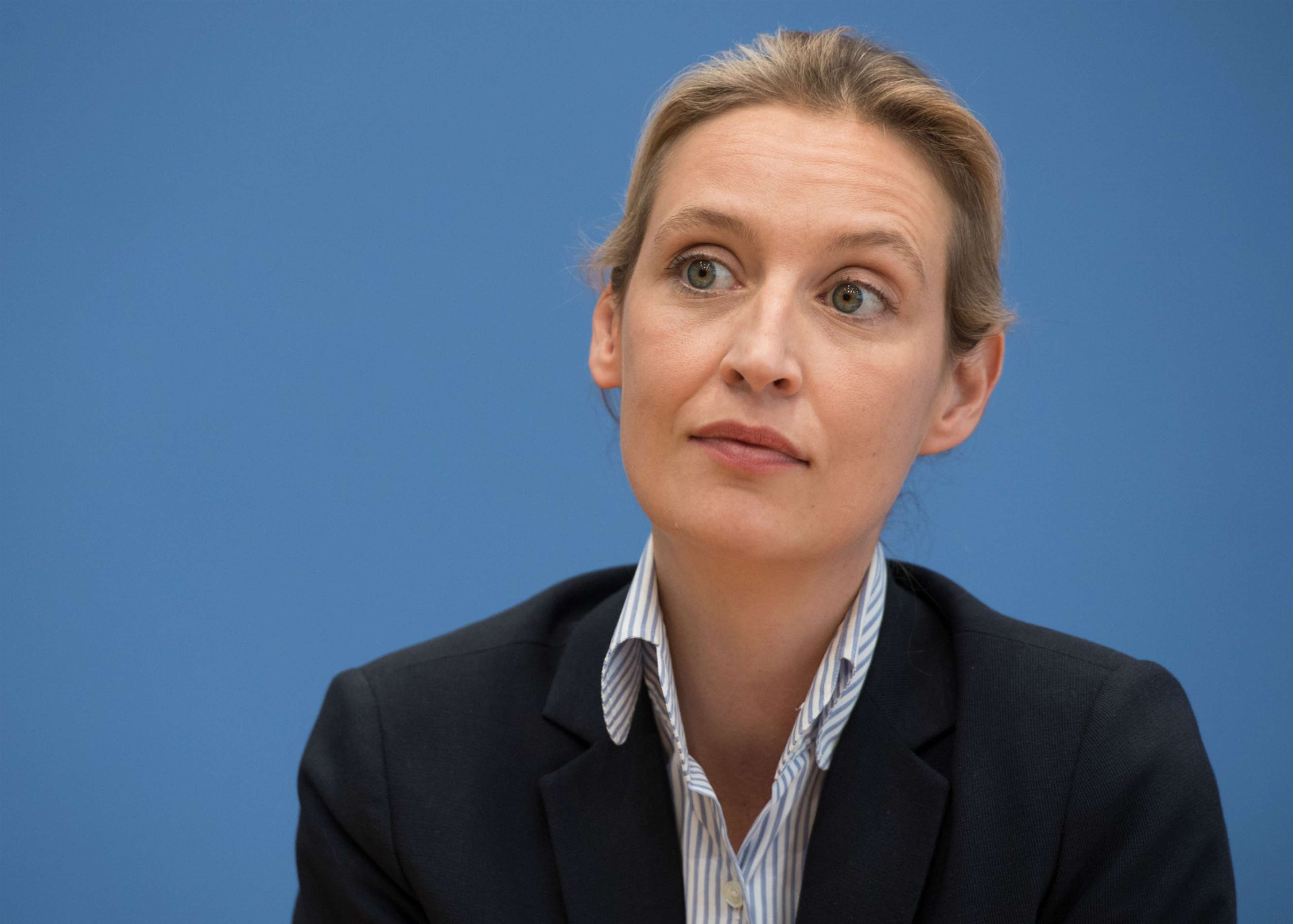 /assets/images/upload/Weidel2.jpg