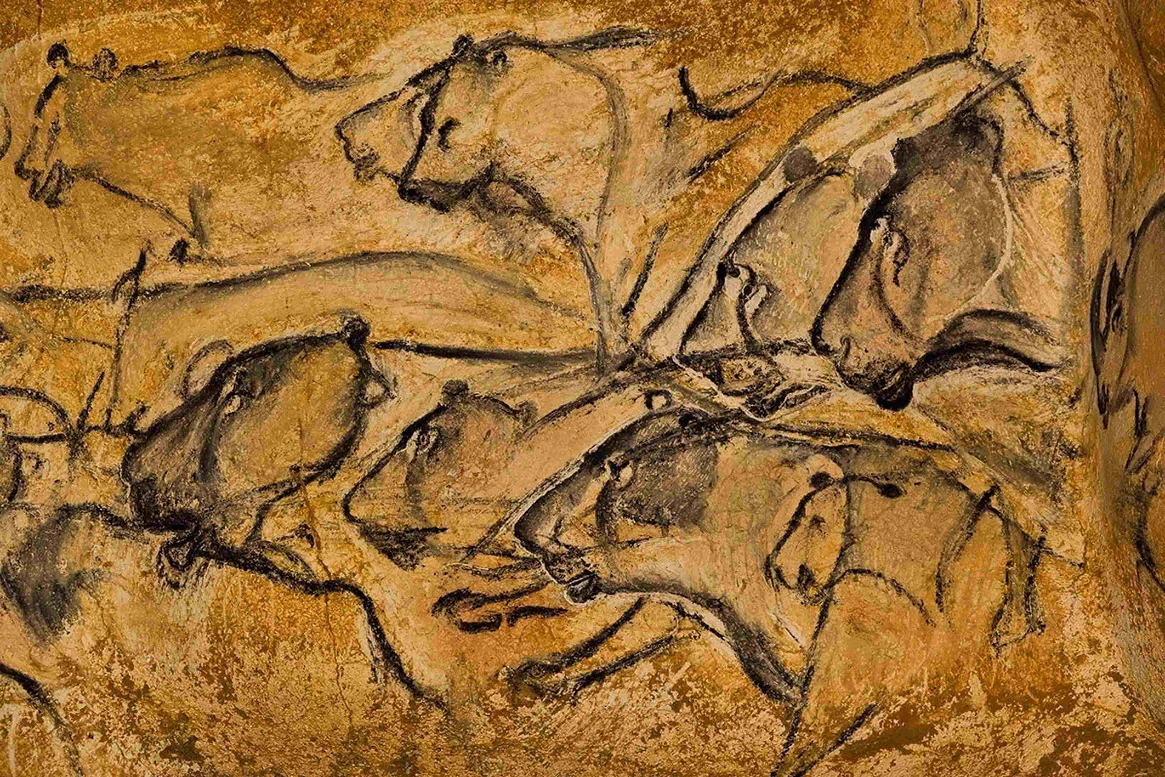/assets/images/upload/Grotte Chauvet.jpg