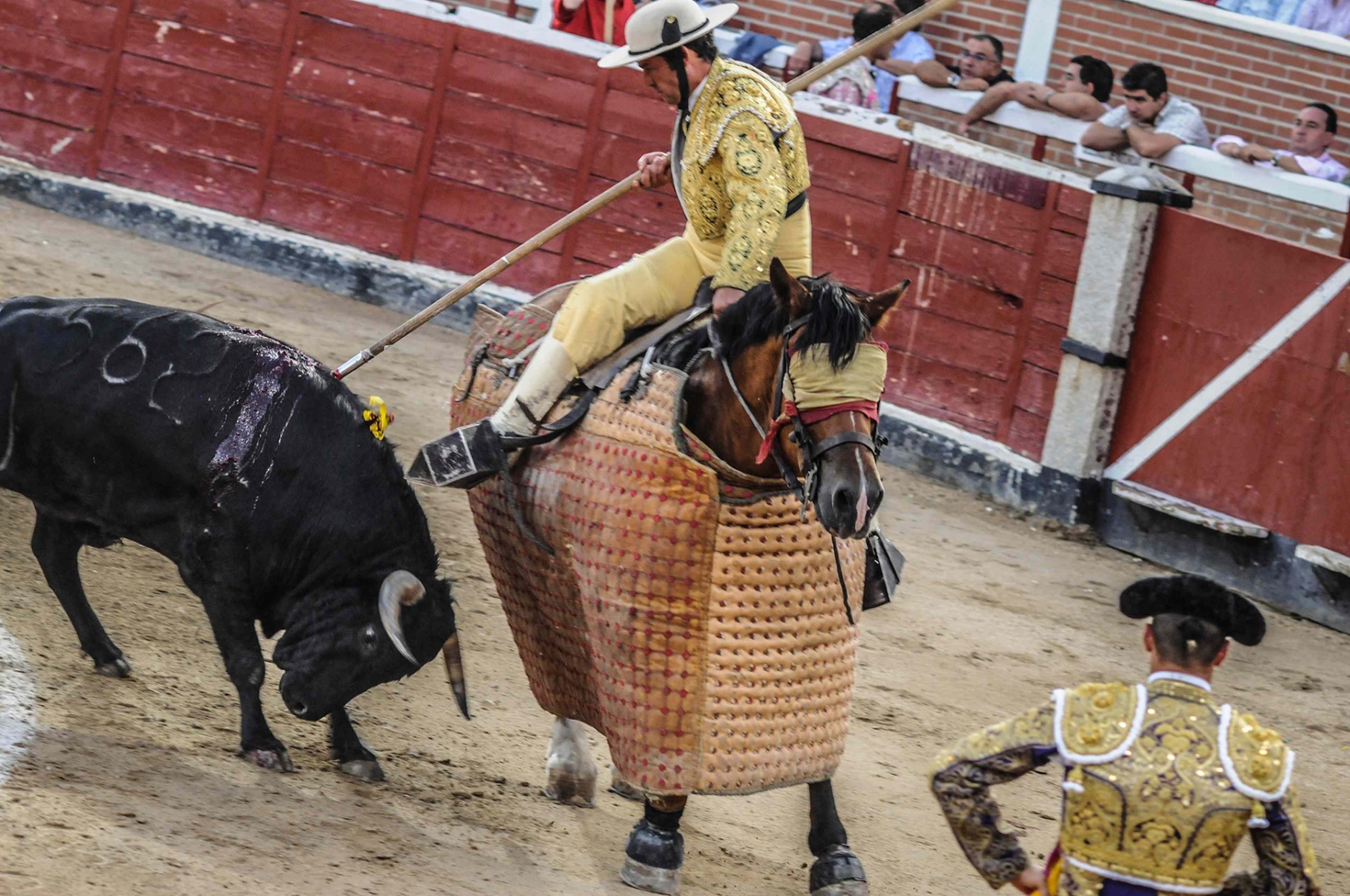 /assets/images/upload/Bullfighting_Spain_JMcArthur_2009-1519.jpg