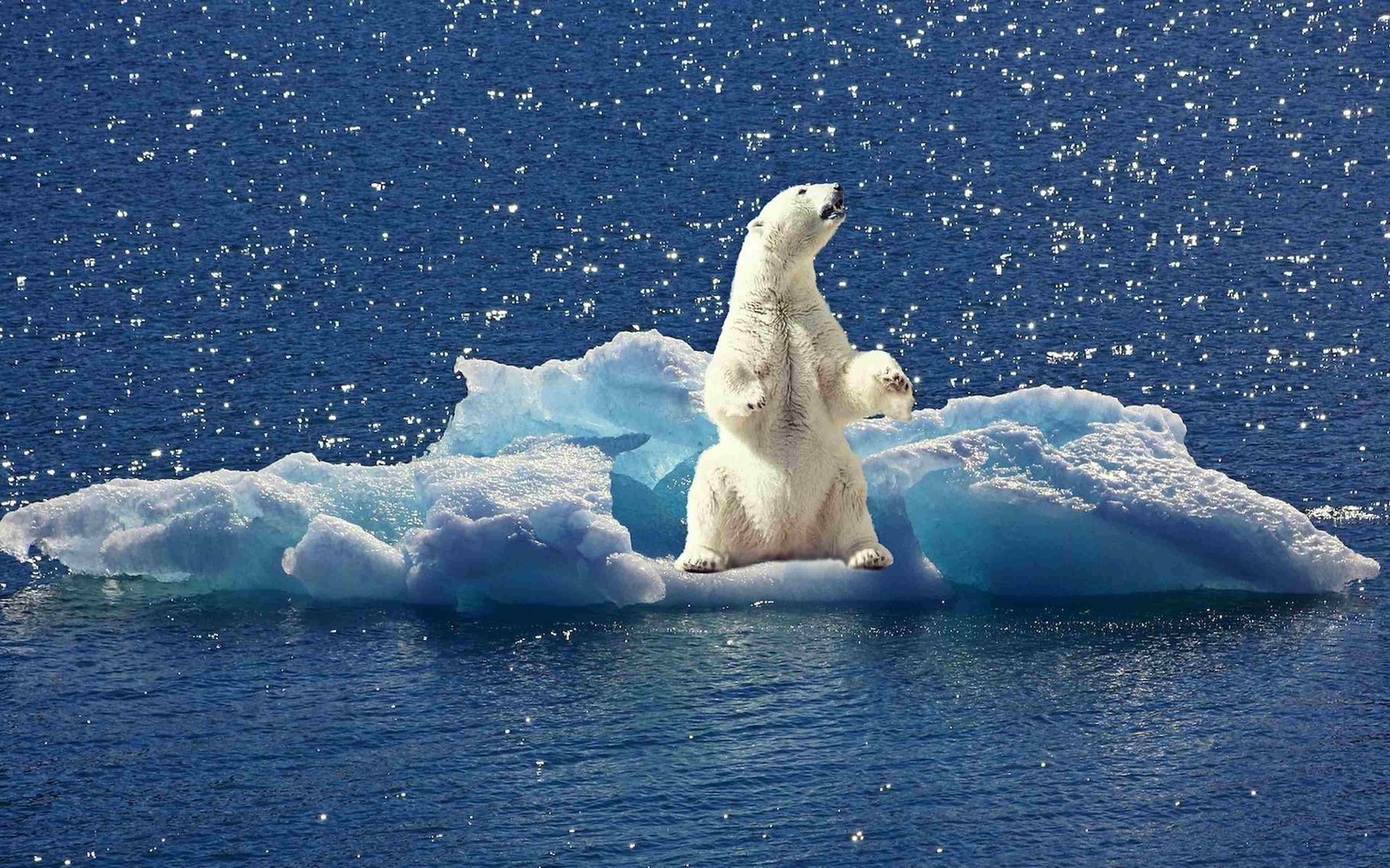 /assets/images/upload/e6c7fd3b7a_50148593_acceleration-impacts-rechauffement-climatique.jpg