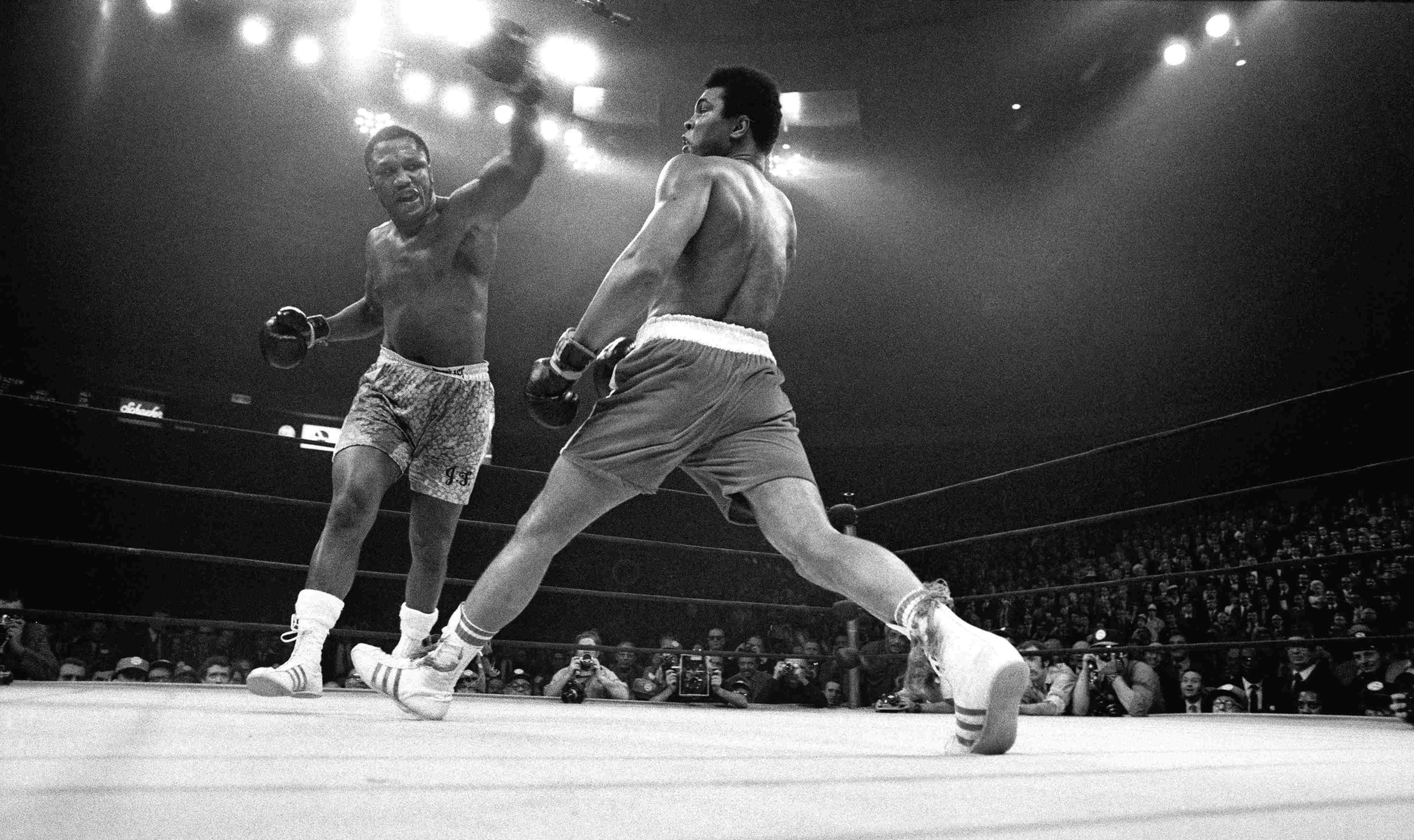 /assets/images/upload/AliFrazier.jpg