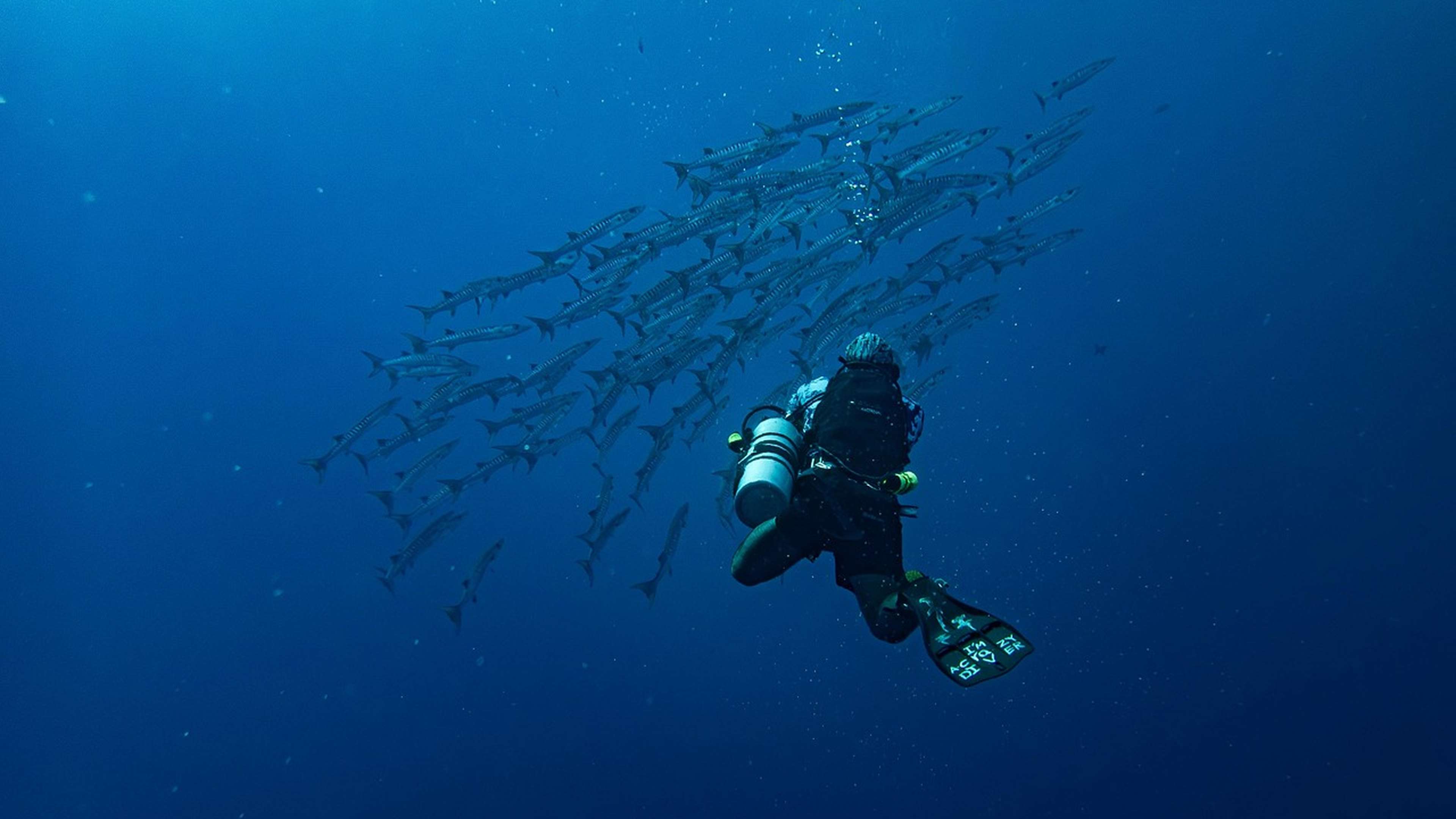 sous-marin-onfray