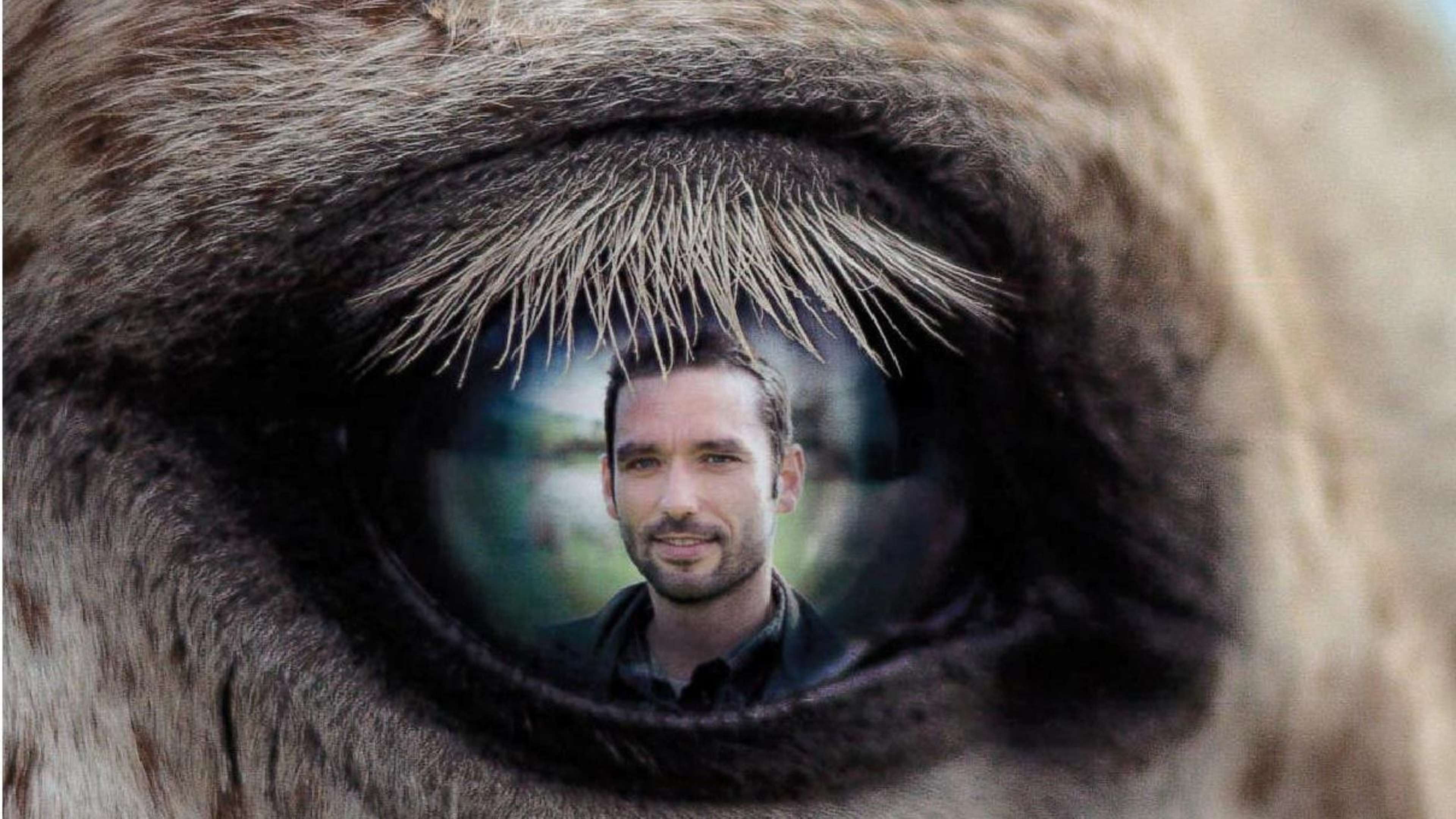 homme-animaux
