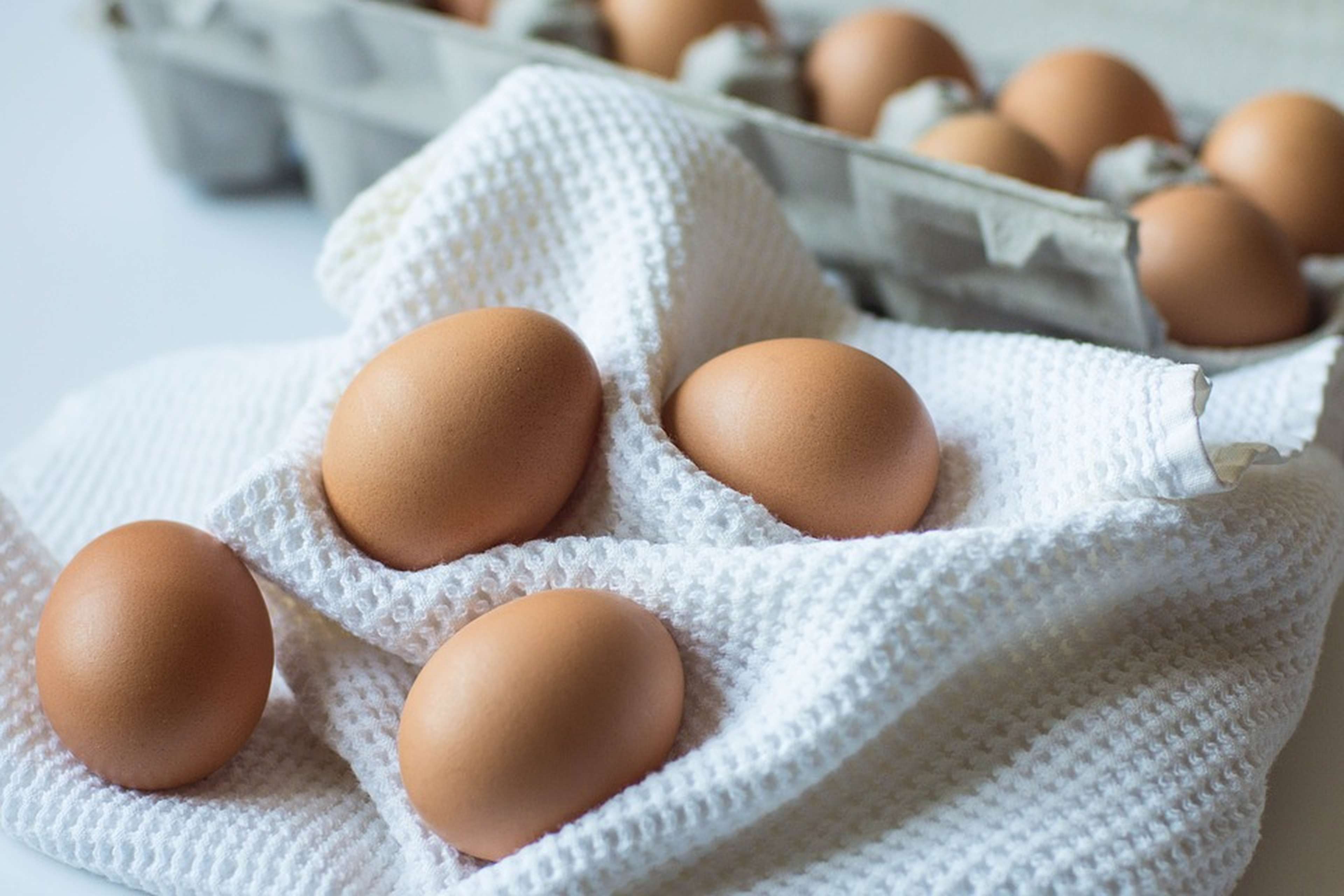 /assets/images/upload/eggs-1111587_960_720_0.jpg