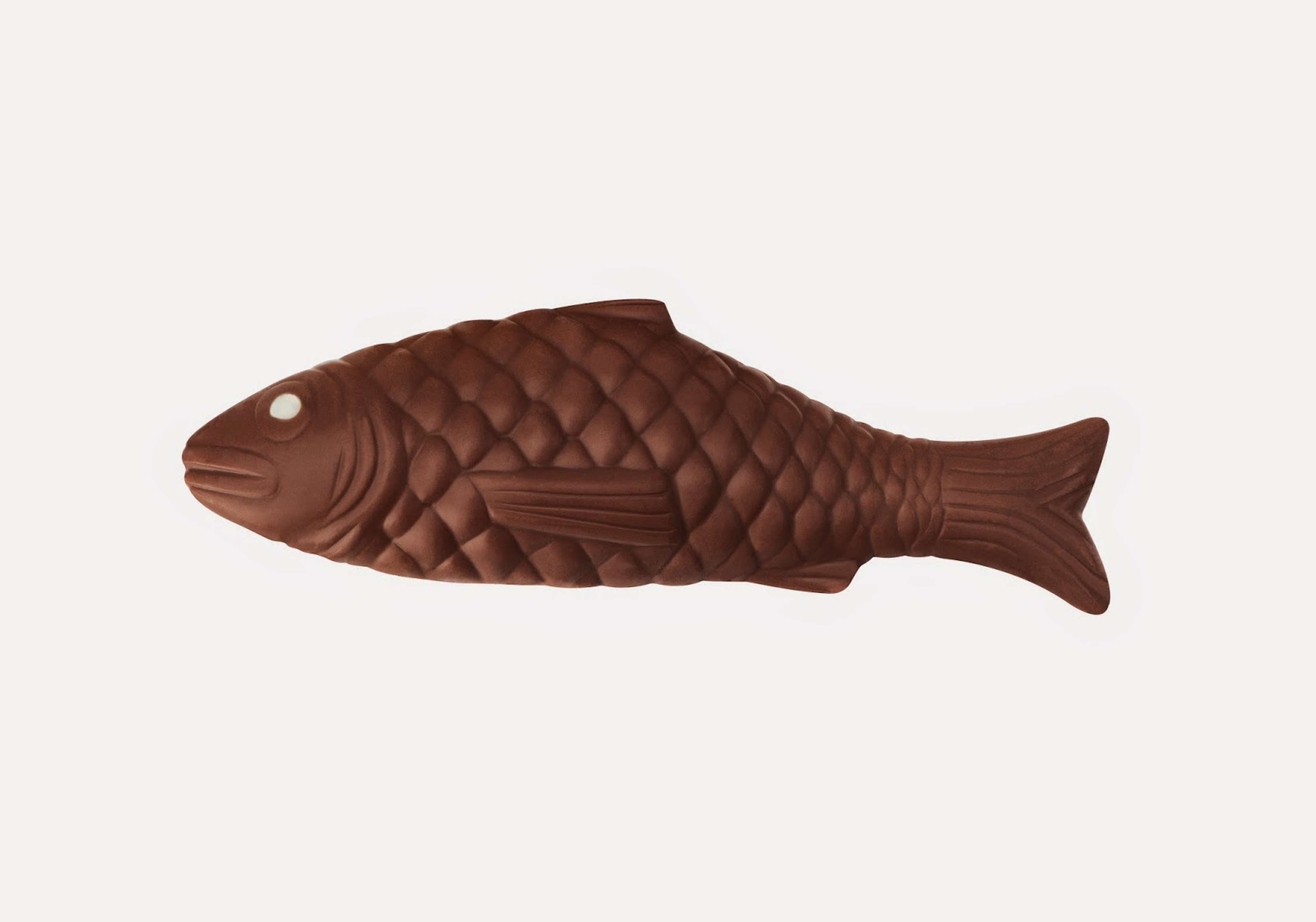 /assets/images/upload/Poisson 2.jpg