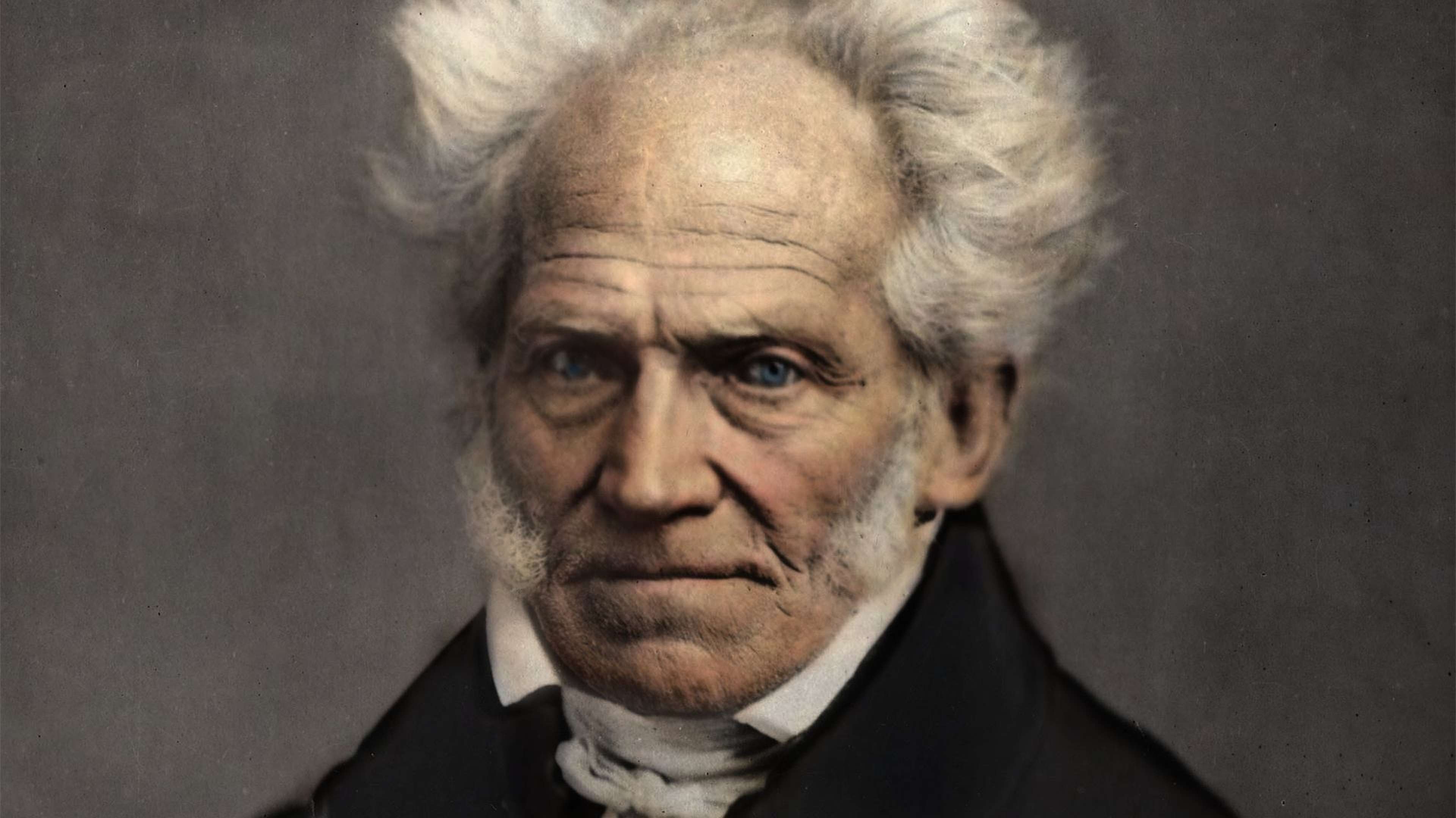 schopenhauer-onfray
